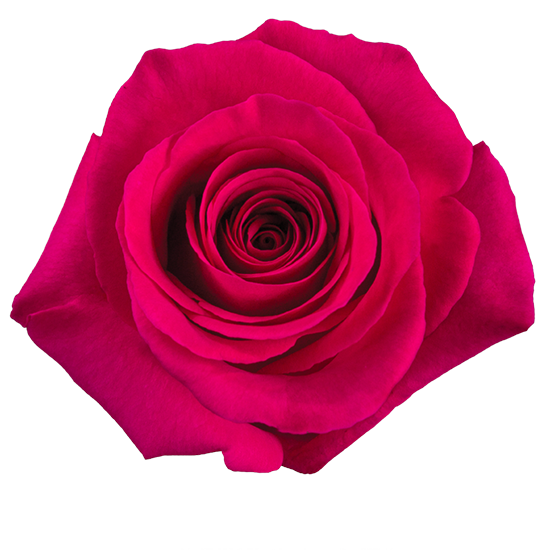Pink-Floyd
