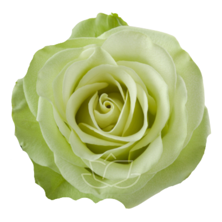green romance